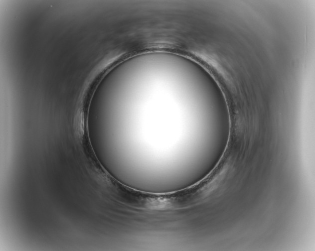 X0000089401317200706221110