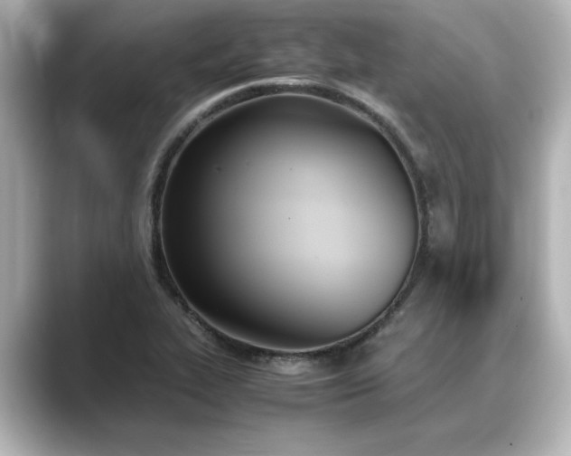 X0000089401319200706221110