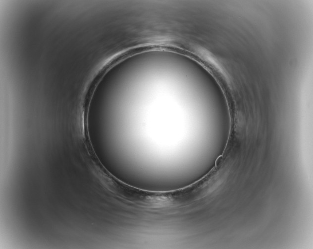 X0000089401320200706221110