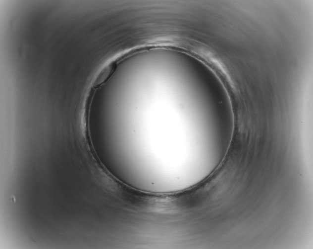 X0000089401328200706221110