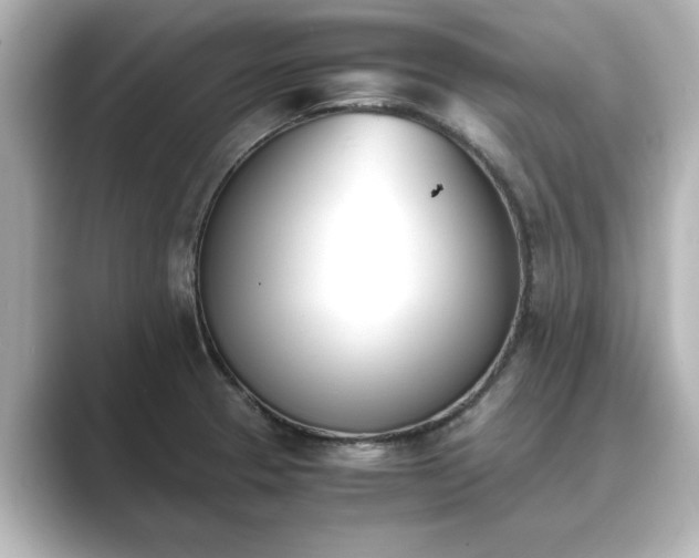 X0000089401329200706221110