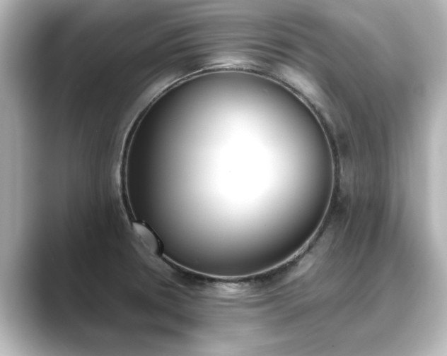 X0000089401330200706221110