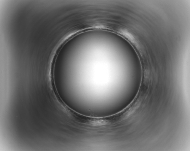 X0000089401331200706221110