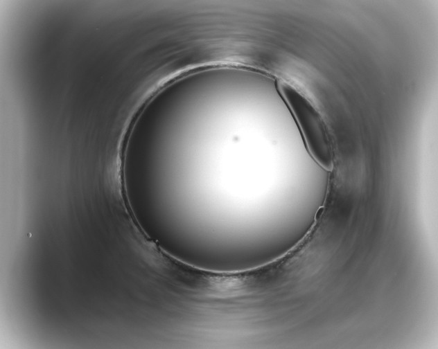 X0000089401332200706221110