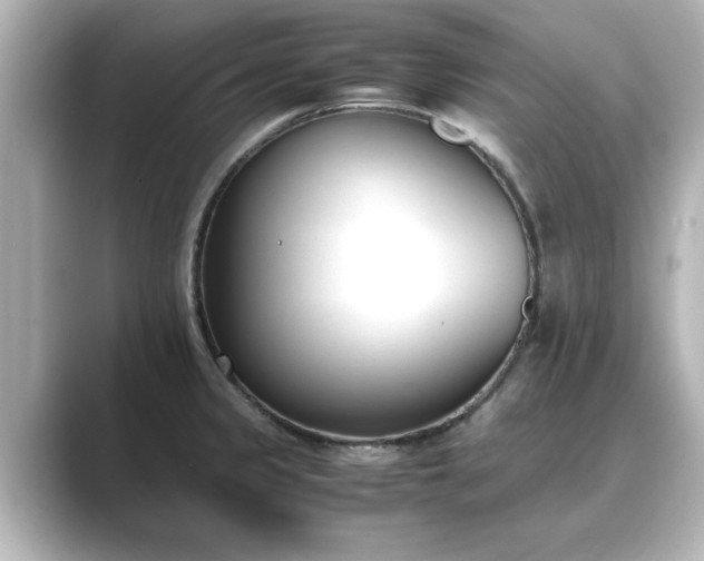 X0000089401333200706221110