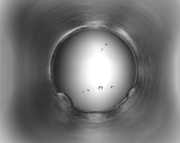 X0000089401336200706221110