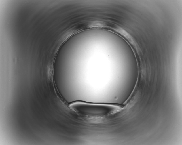 X0000089401337200706221110