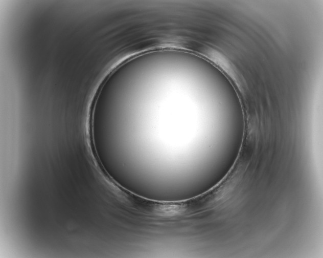 X0000089401339200706221111