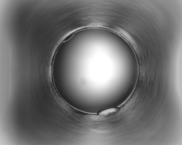 X0000089401340200706221111