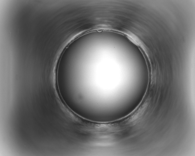 X0000089401341200706221111