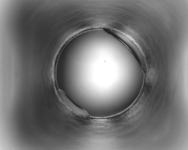 X0000089401342200706221111