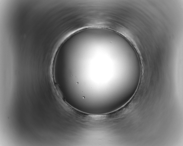 X0000089401344200706221111