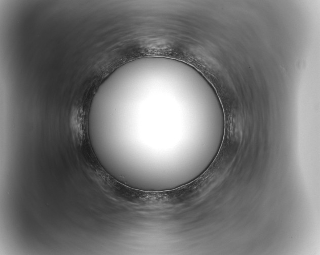 X0000089401346200706221110