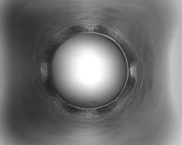 X0000089401347200706221110