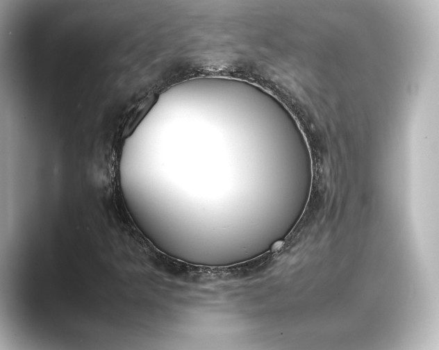 X0000089401349200706221110