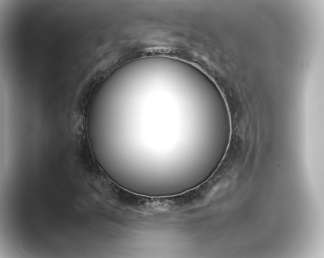 X0000089401351200706221110