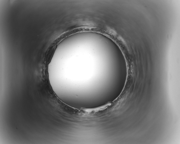 X0000089401352200706221110