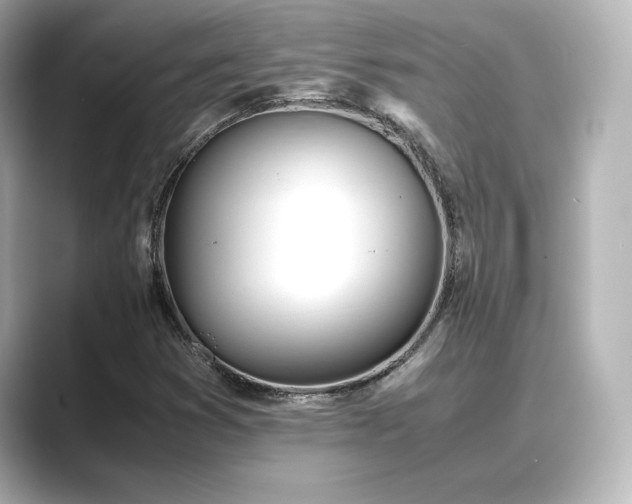 X0000089401353200706221110