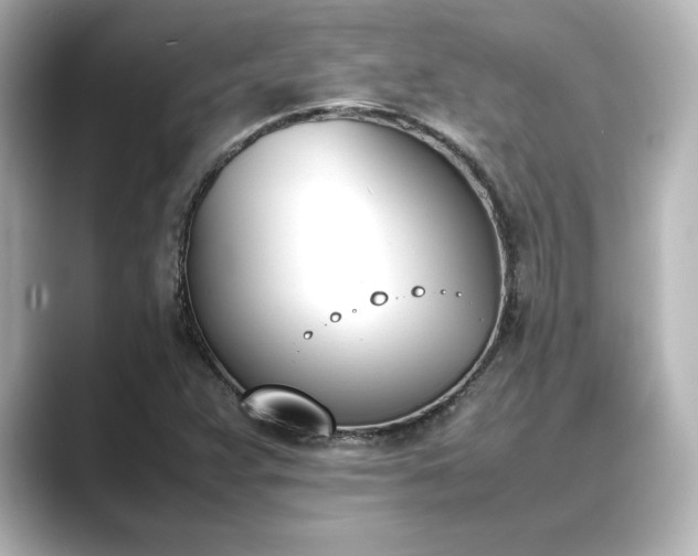 X0000089401359200706221110