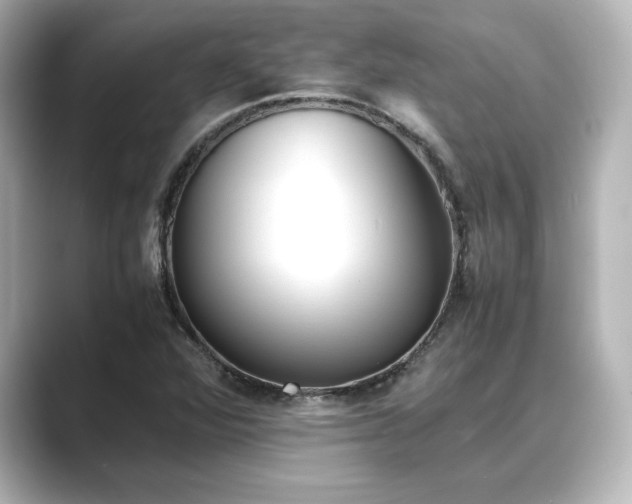 X0000089401360200706221110