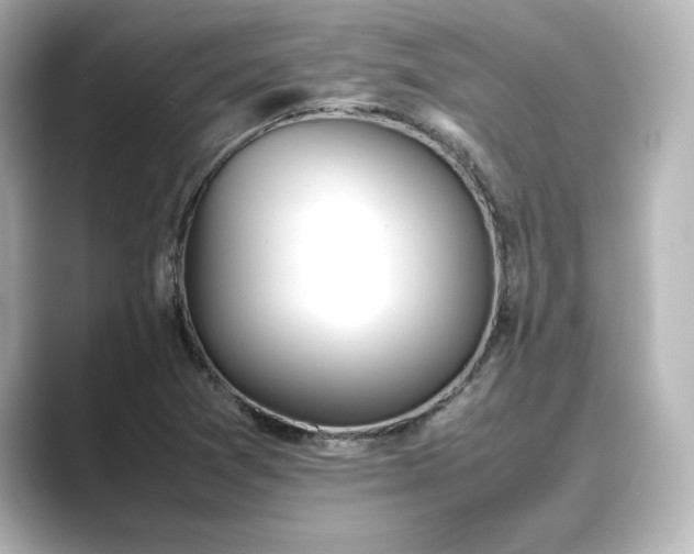 X0000089401361200706221110