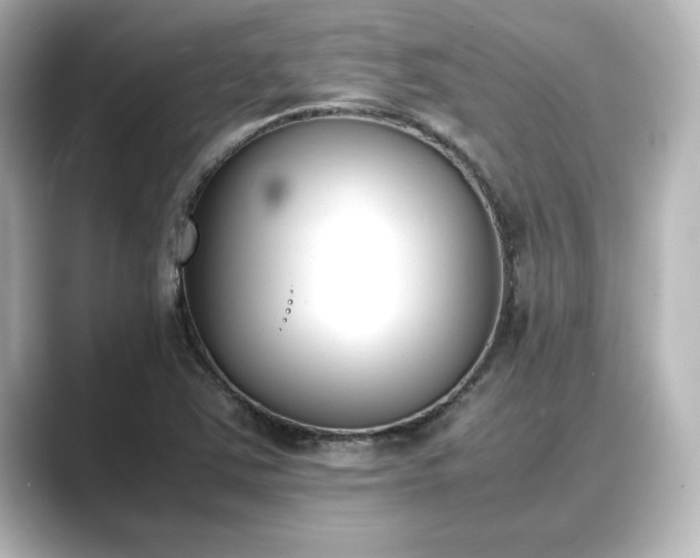 X0000089401363200706221110