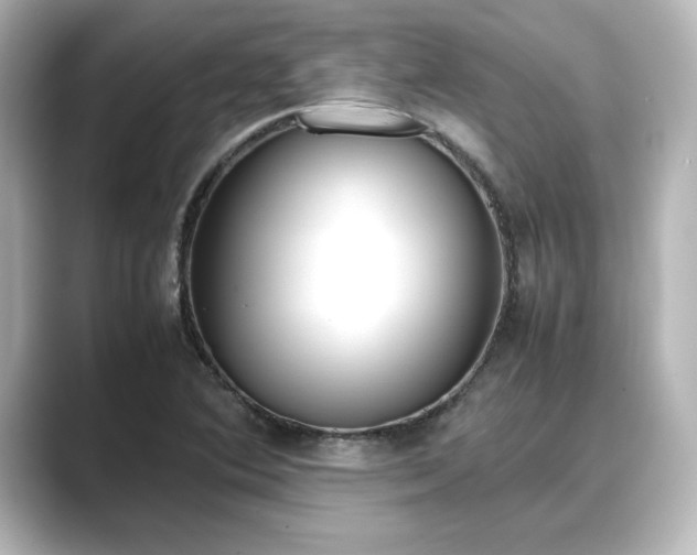 X0000089401364200706221110