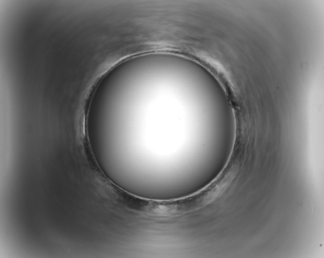 X0000089401365200706221110