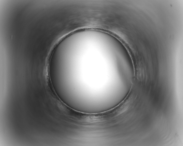 X0000089401366200706221110