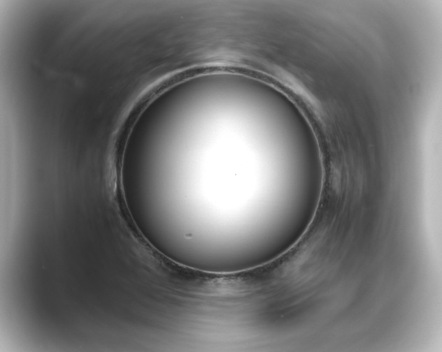 X0000089401368200706221110