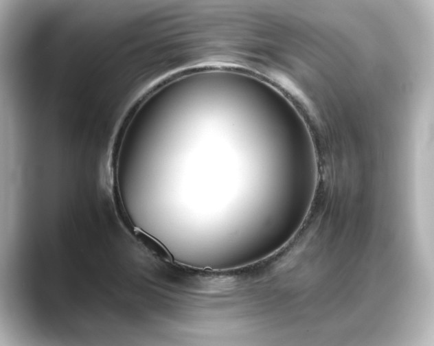 X0000089401372200706221110