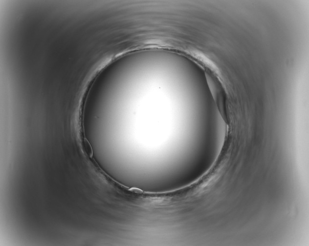 X0000089401373200706221110