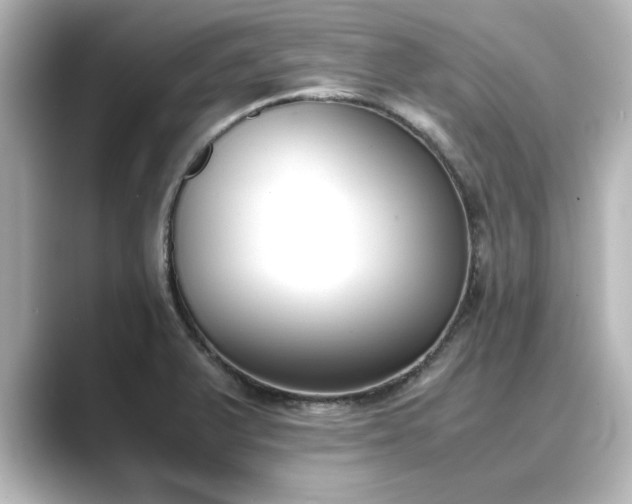 X0000089401375200706221110