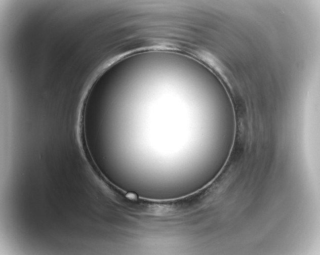 X0000089401379200706221110