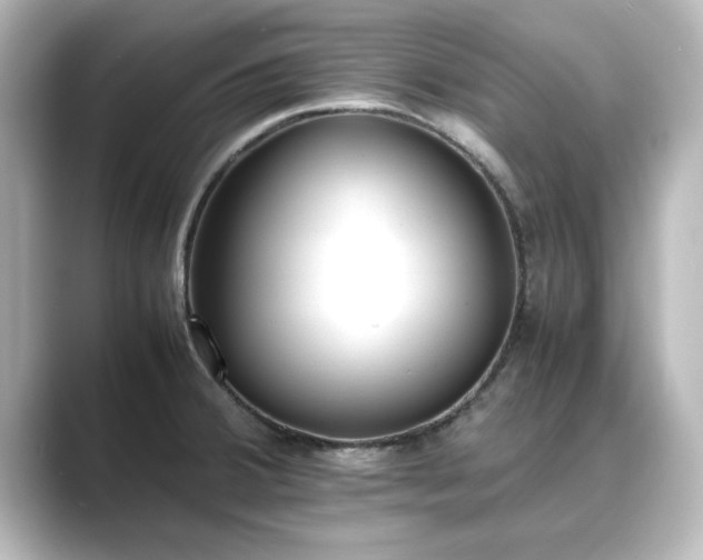 X0000089401380200706221110