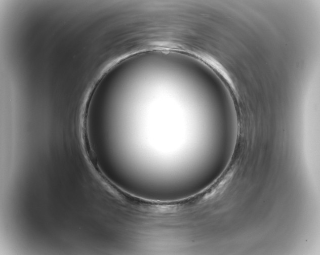 X0000089401381200706221110