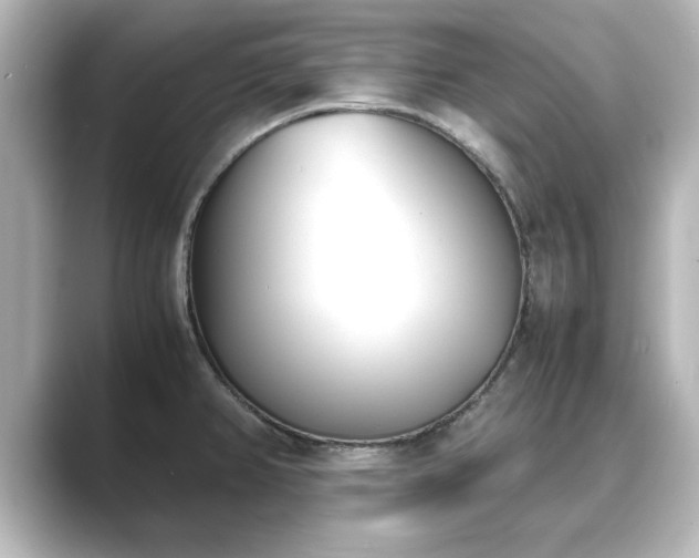 X0000089401382200706221110