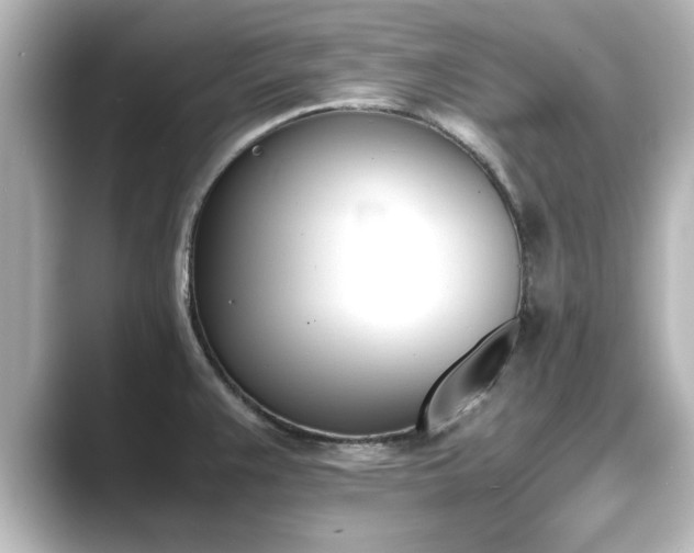 X0000089401383200706221110