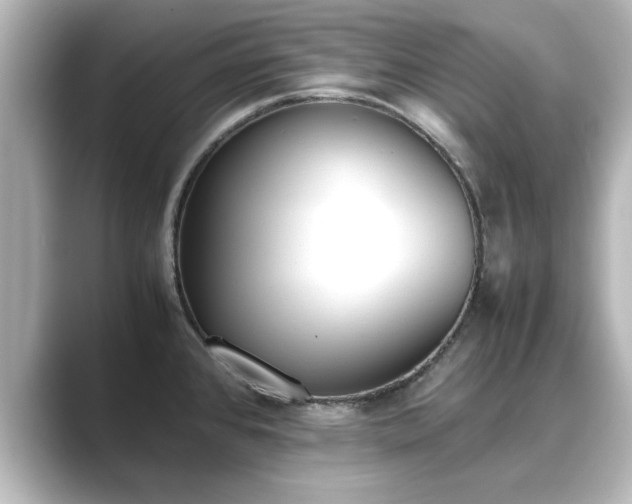 X0000089401384200706221110