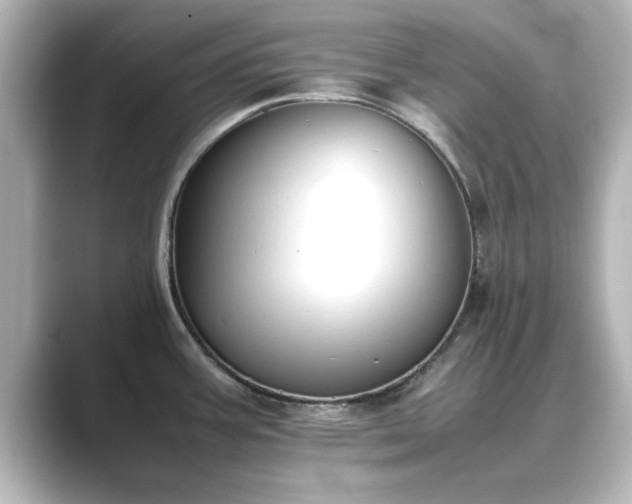 X0000089401387200706221110