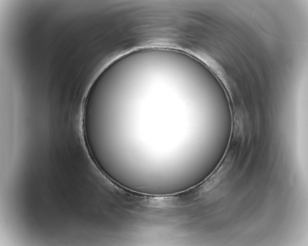 X0000089401390200706221109