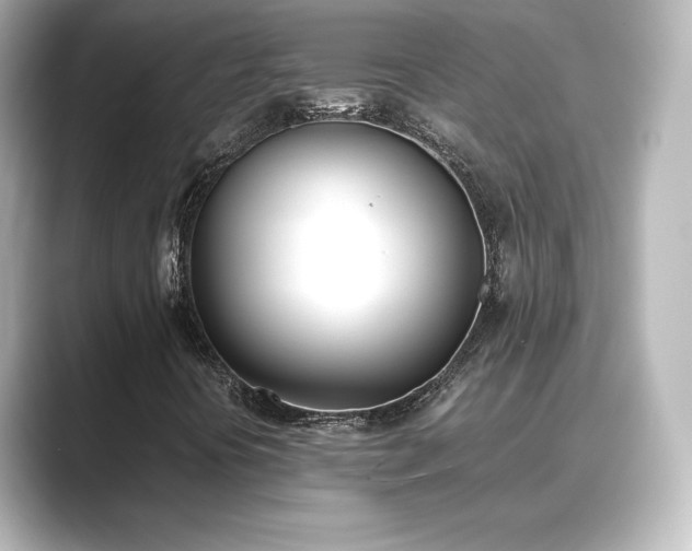 X0000089401394200706221109