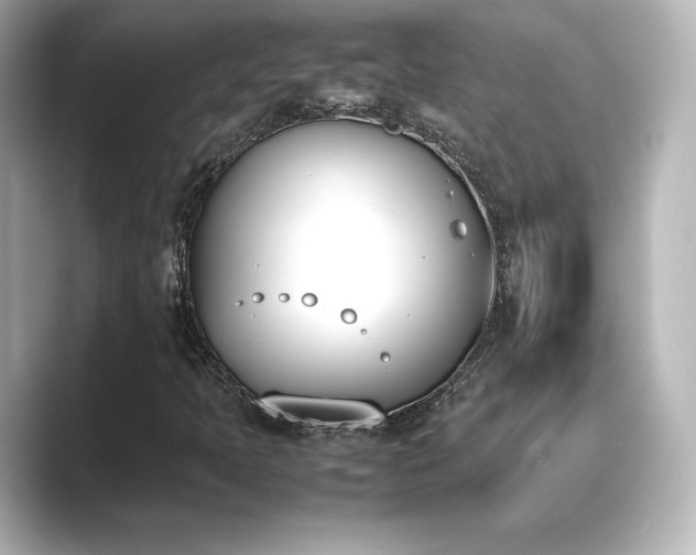 X0000089401397200706221109