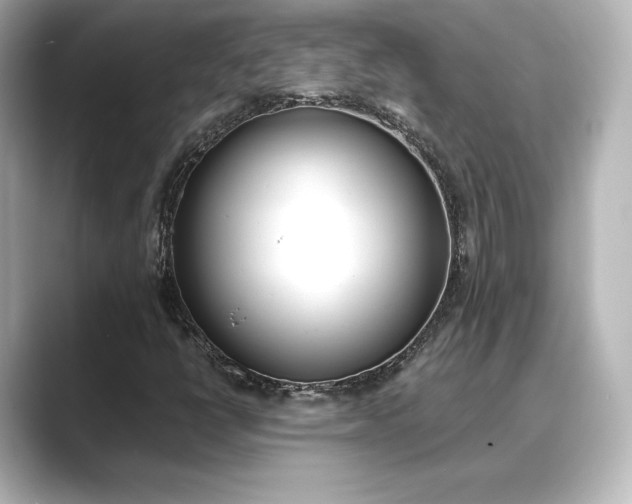 X0000089401398200706221109