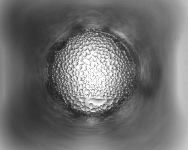 X0000089401399200706221109