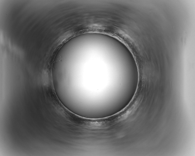 X0000089401401200706221109