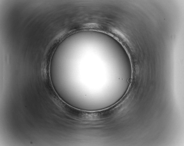 X0000089401403200706221109