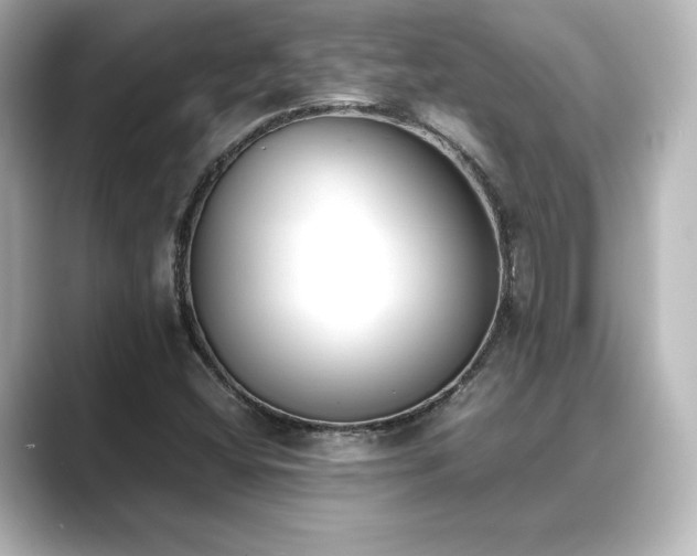 X0000089401404200706221109