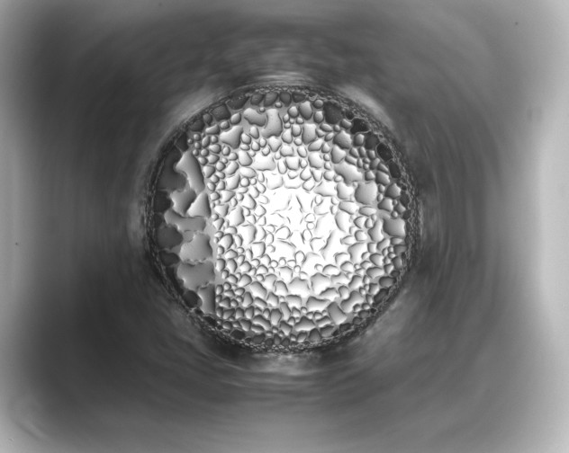 X0000089401405200706221109