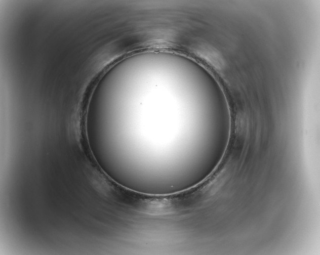 X0000089401410200706221109